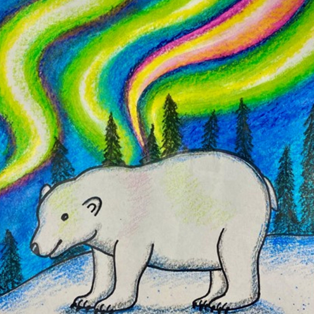 Aurora Borealis Polar Bear